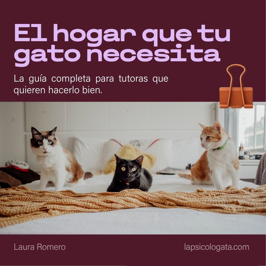 El hogar que tu gato necesita